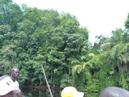 Sur les rives du fleuve Kouilou, dans les environs des villages de Mvilani et Tchibébé, la délégation a poursuivi son immersion au cœur du pays