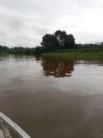 Sur les rives du fleuve Kouilou, dans les environs des villages de Mvilani et Tchibébé, la délégation a poursuivi son immersion au cœur du pays